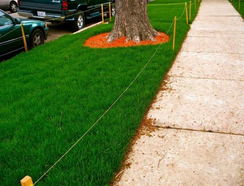 Grass Mowing Chicago